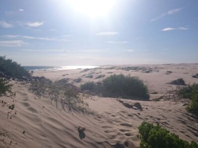 beach