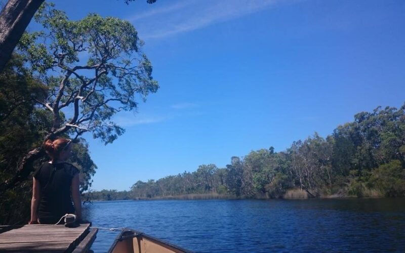 noosa4