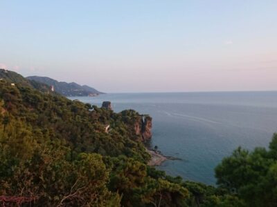 west4