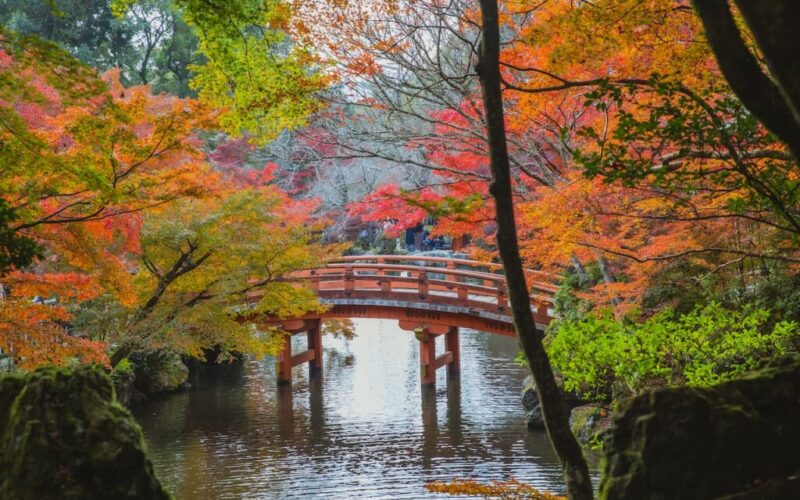 pexels-ryutaro-tsukata-6249515