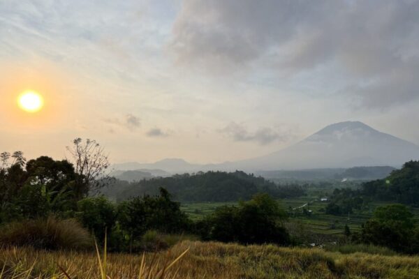 bali
